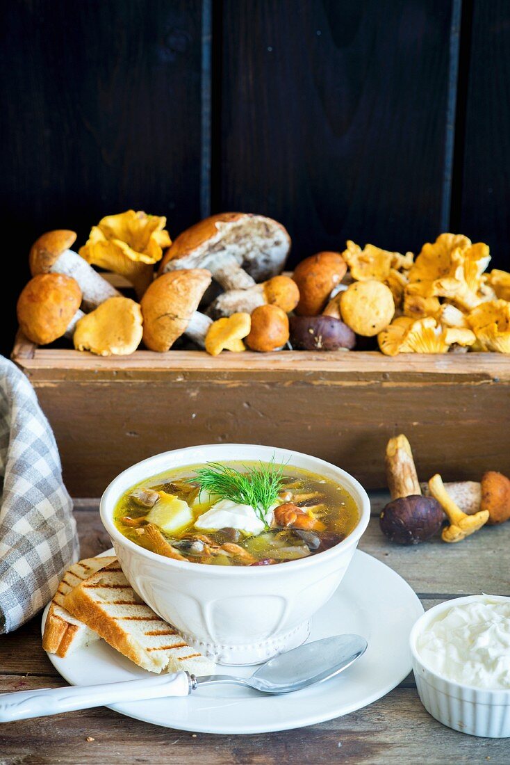 Suppe mit Waldpilzen und Röstbrot