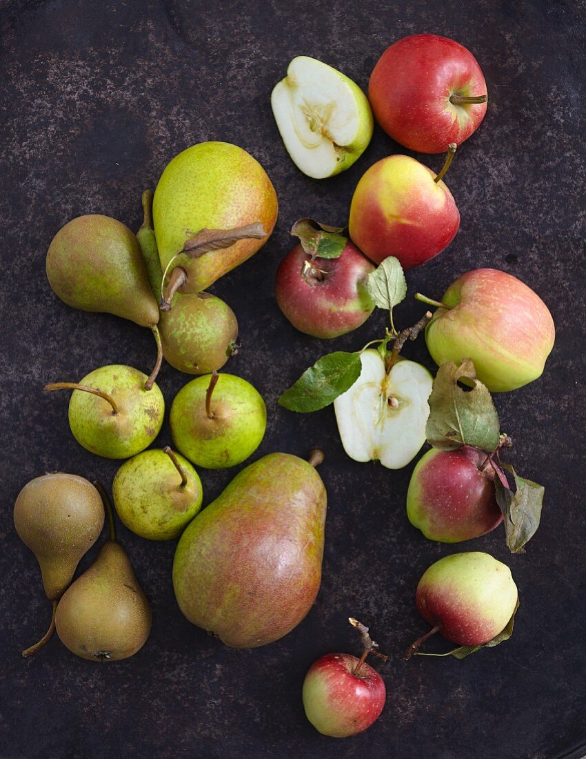 Äpfel und Birnen, verschiedene Sorten