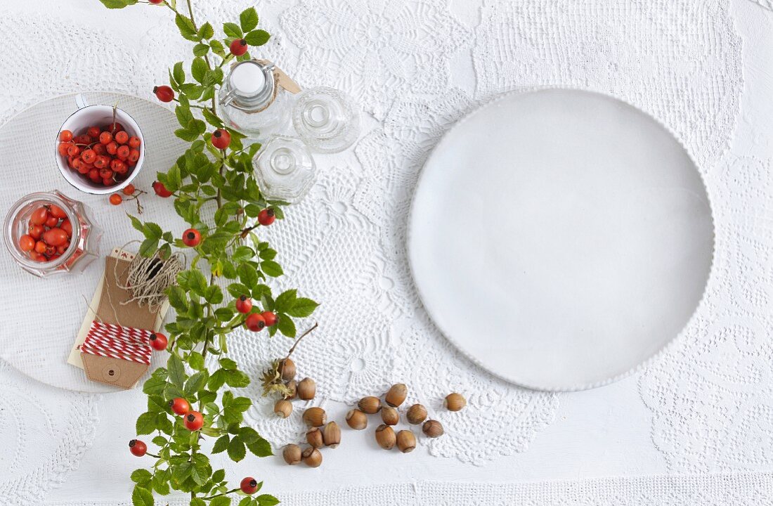 Rose hips and a white plate on top of a lace tablecloth