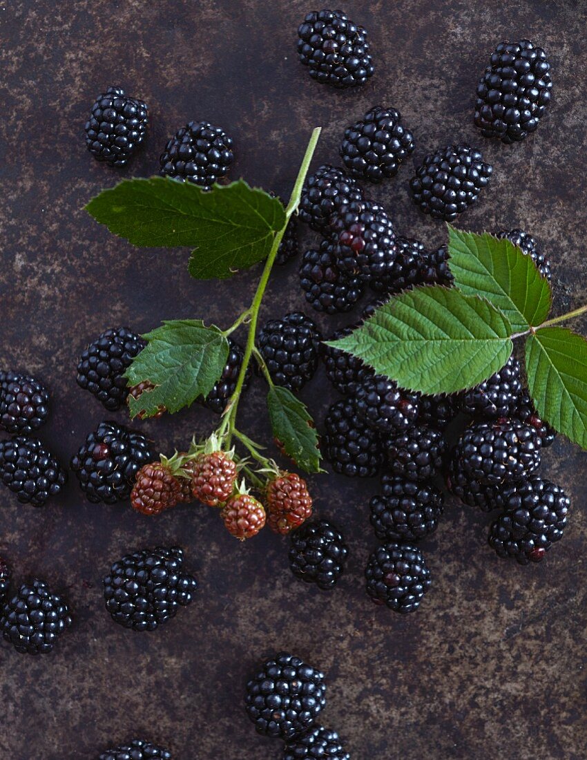 Blackberries on a vintage background