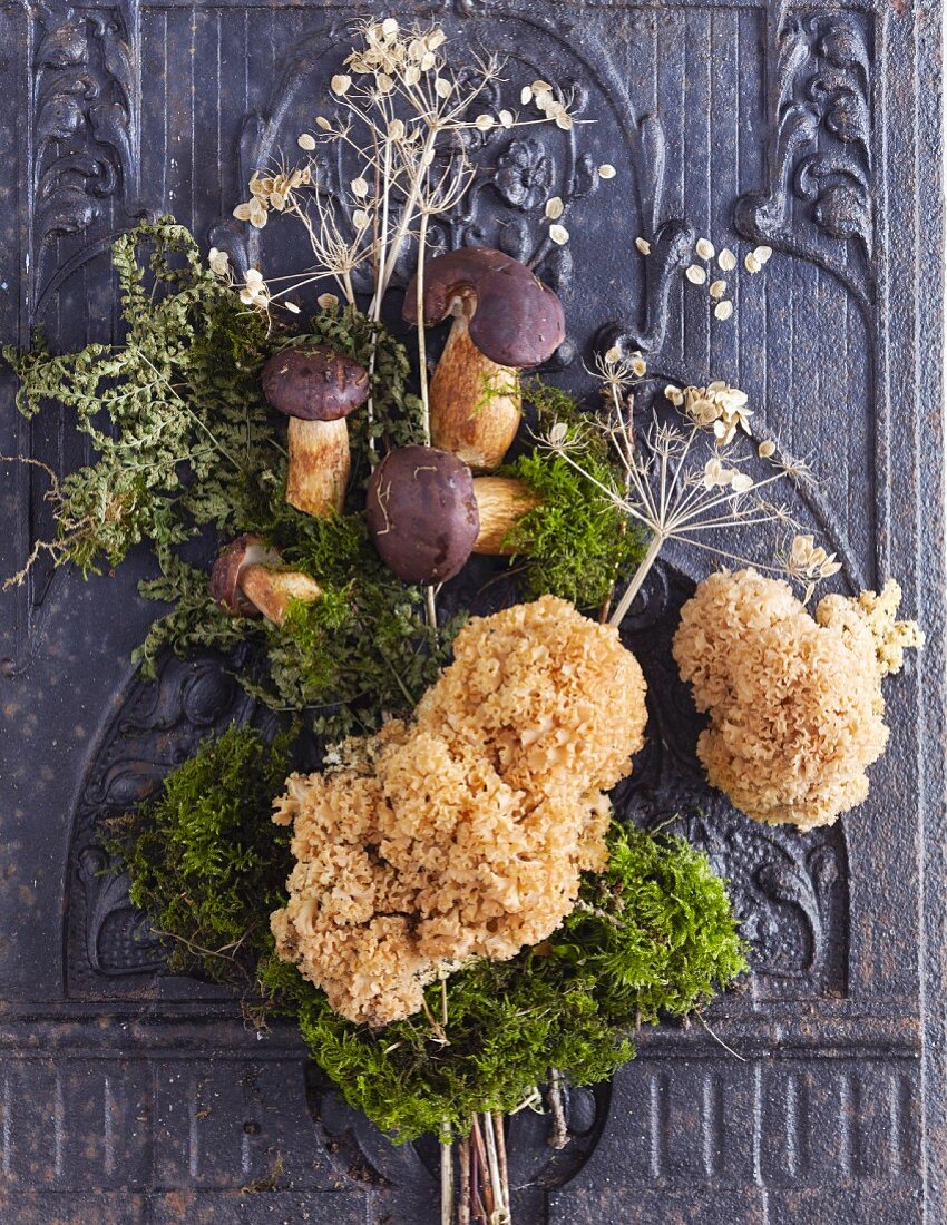 A still life with stone crop flowers and chestnuts