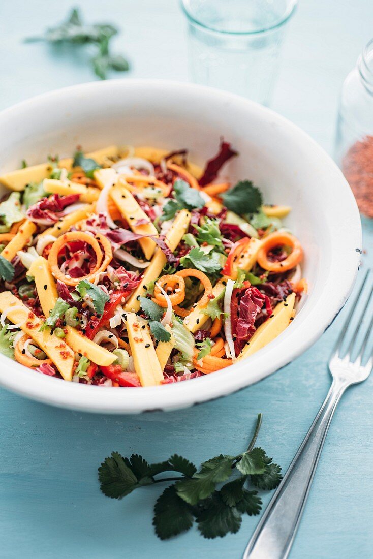 A vegetable salad with radicchio, carrots, mango and chilli