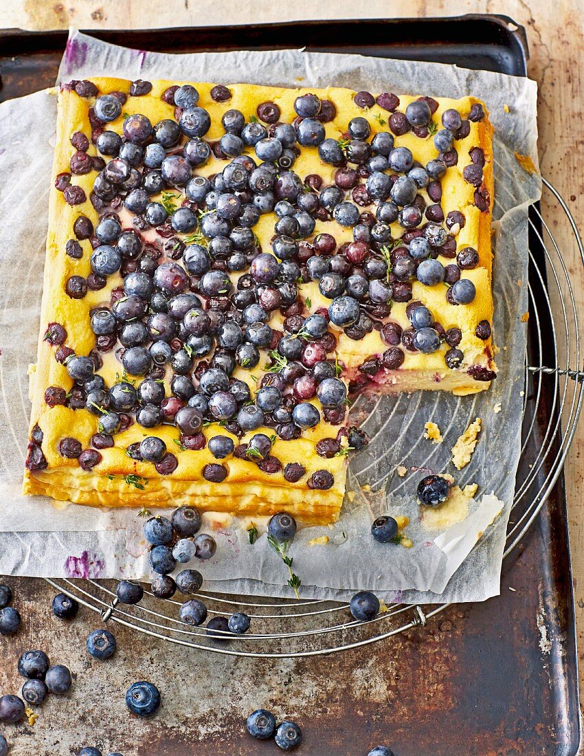 Quark and blueberry cheesecake without a base