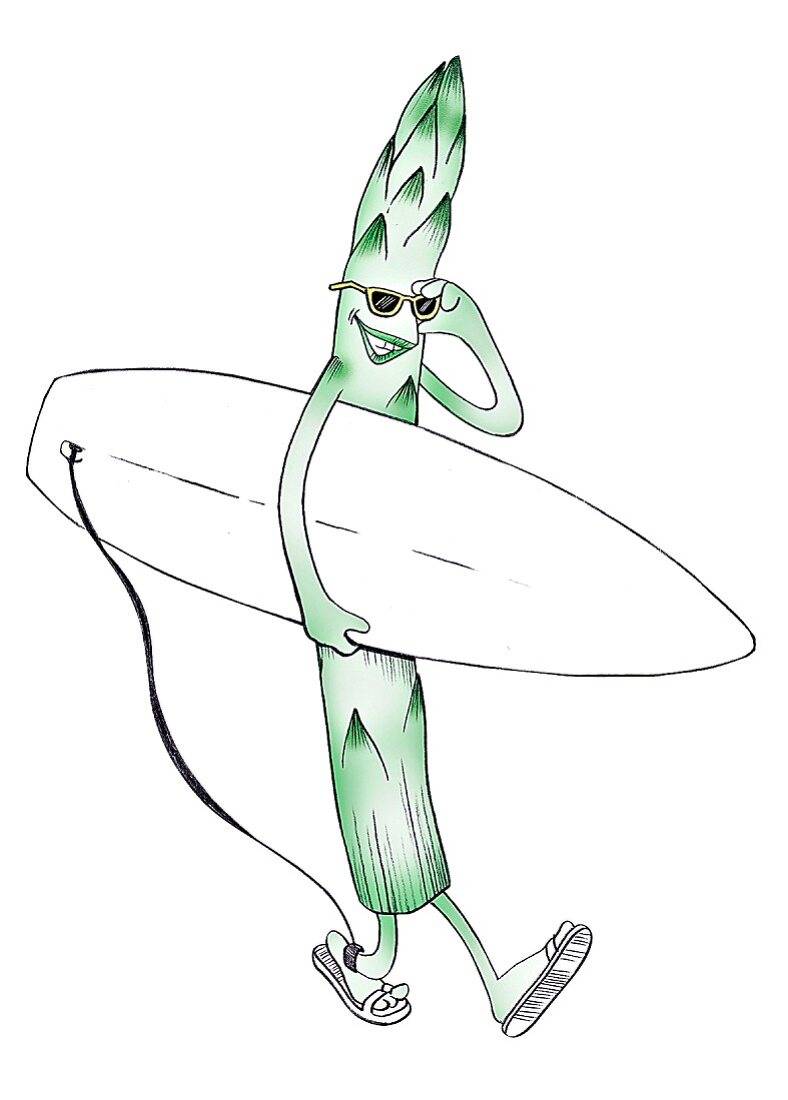 Asparagus with a surfboard (illustration)