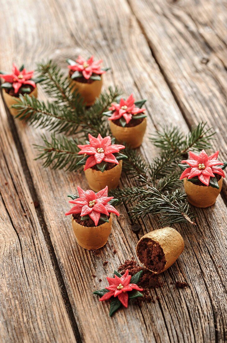 Konfekt in Form von Weihnachtssternen im Blumentopf