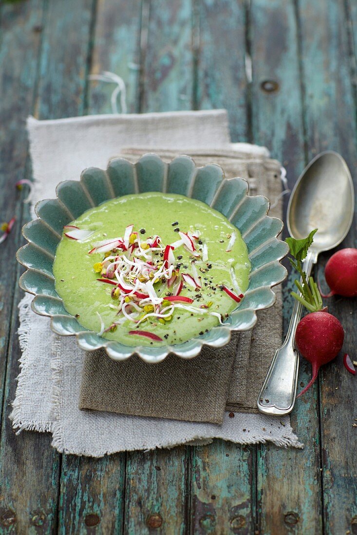 Radieschen-Avocado-Suppe