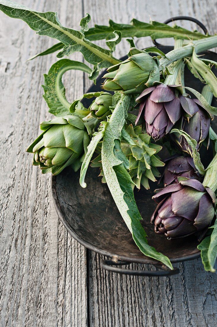 Green and purple artichokes in a metal bowl