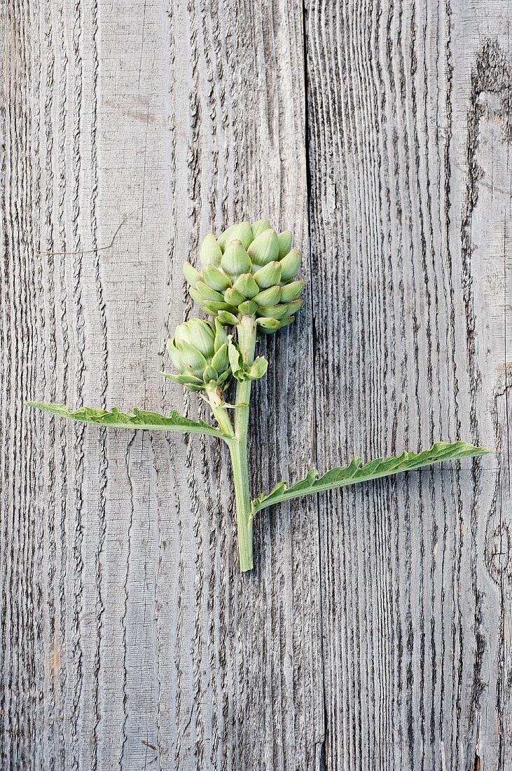 Artichokes on a wooden surface