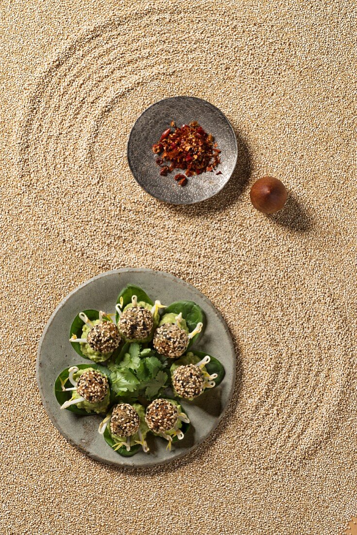 Quinoa pralines with bean sprouts and an avocado dip