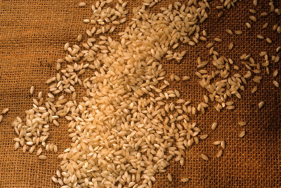 Still Life of Short-Grain Rice