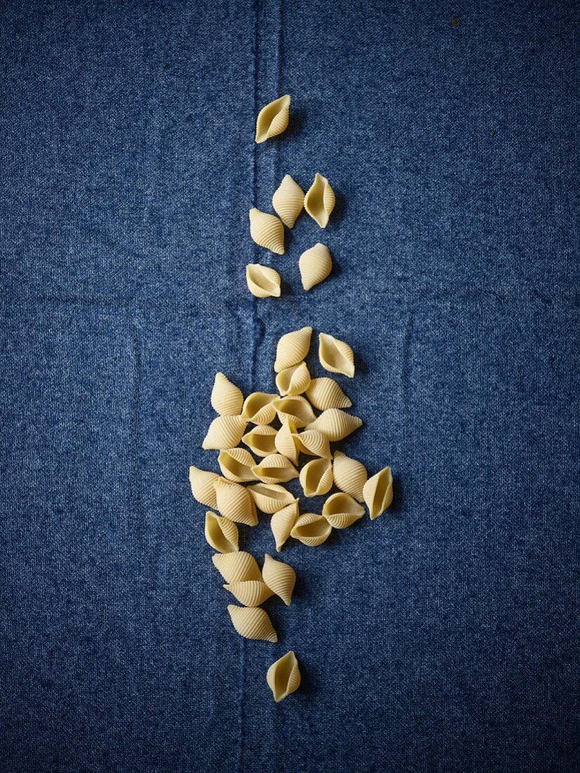 Conchiglie pasta on a blue background