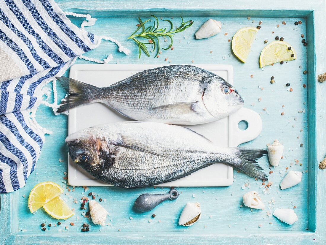 Fresh Sea bream or dorado raw uncooked fish with seasoning on white board over turquoise blue tray background