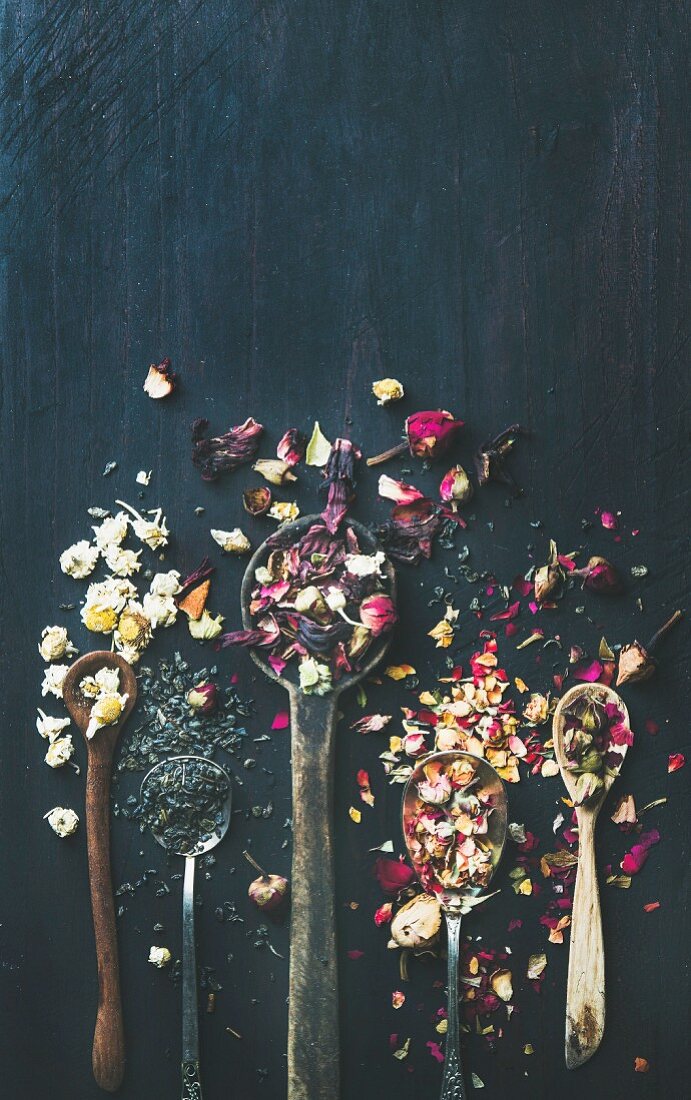Getrocknete Kräuter, Blütenknospen und Teeblätter auf Löffeln vor dunklem Hintergrund