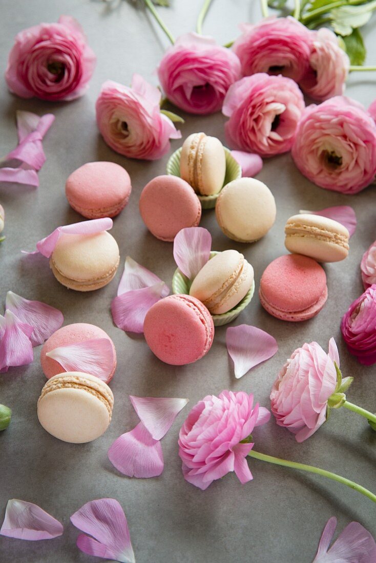 Macarons mit rosa Ranunkeln