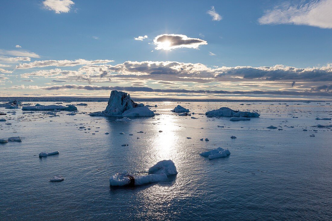 Icebergs under midnight sun, Svalbard