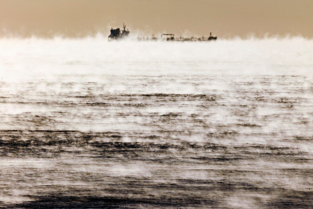 Cargo ship in early morning ocean mist