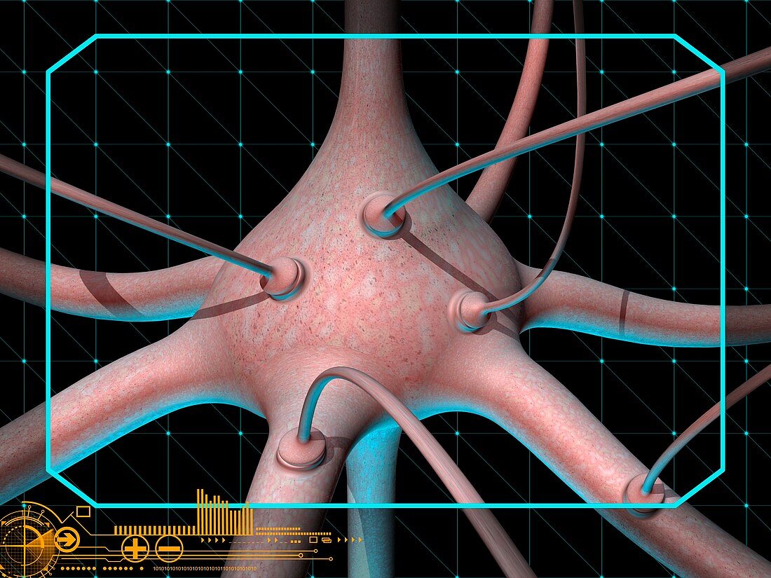 Neuron and synapses, conceptual image