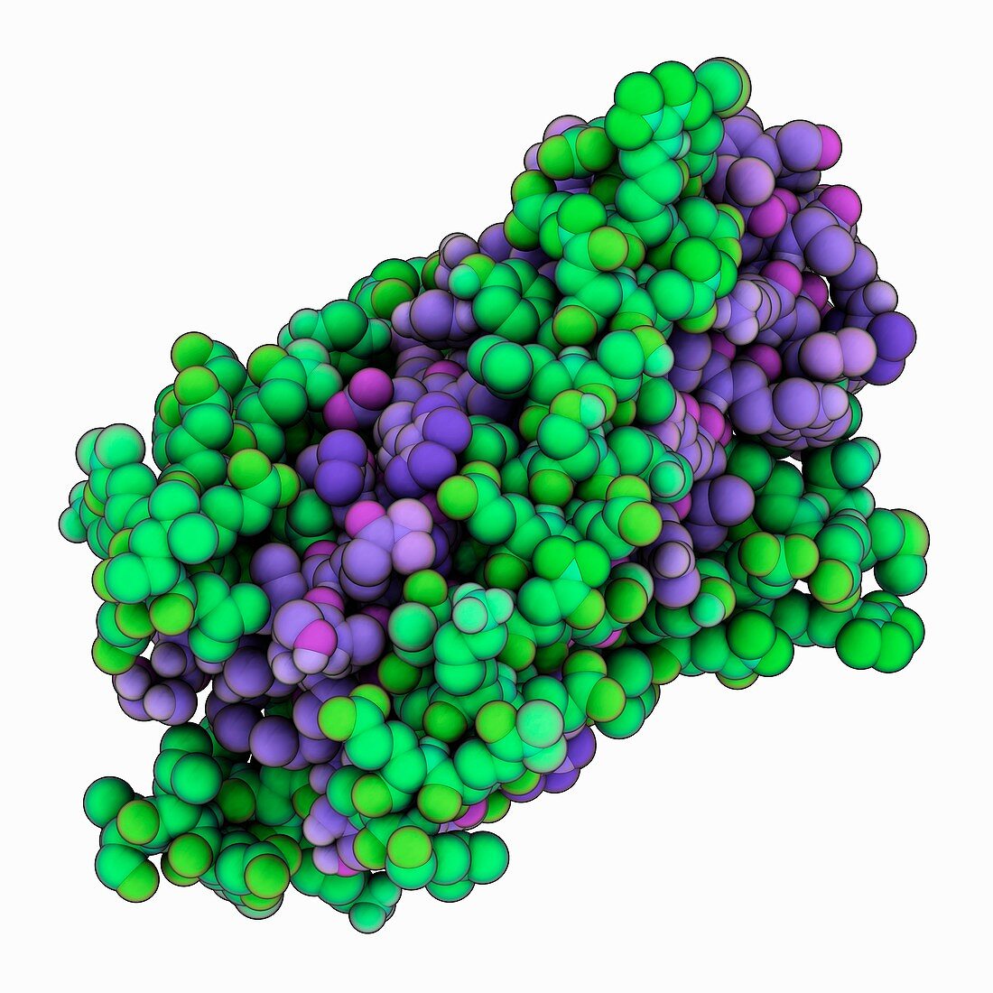 HIV-1 glycoprotein GP41 molecule