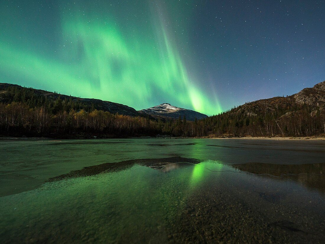 Aurora borealis over a shoreline