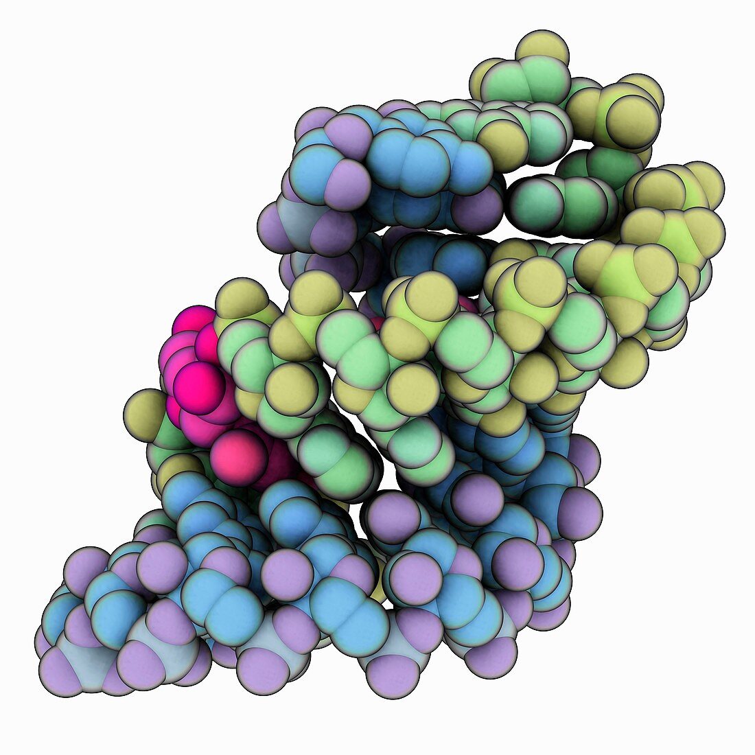 siRNA dodecamer with residue NF2