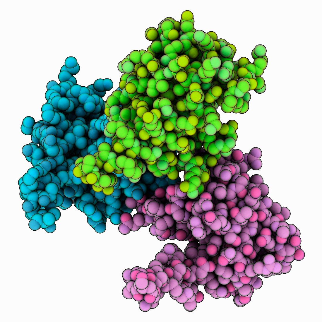 Trimeric HIV-1 matrix protein