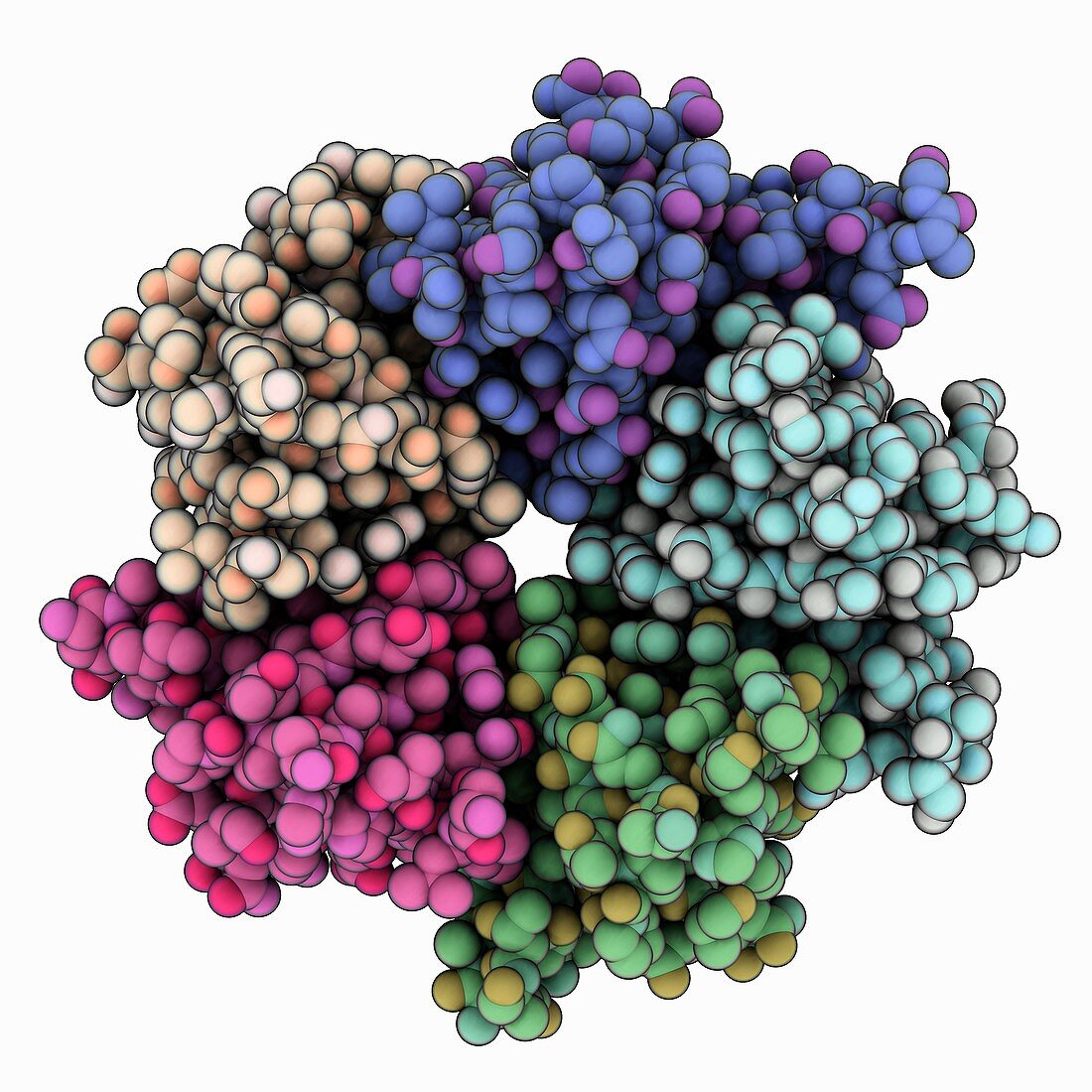 Nucleoplasmin-core molecule