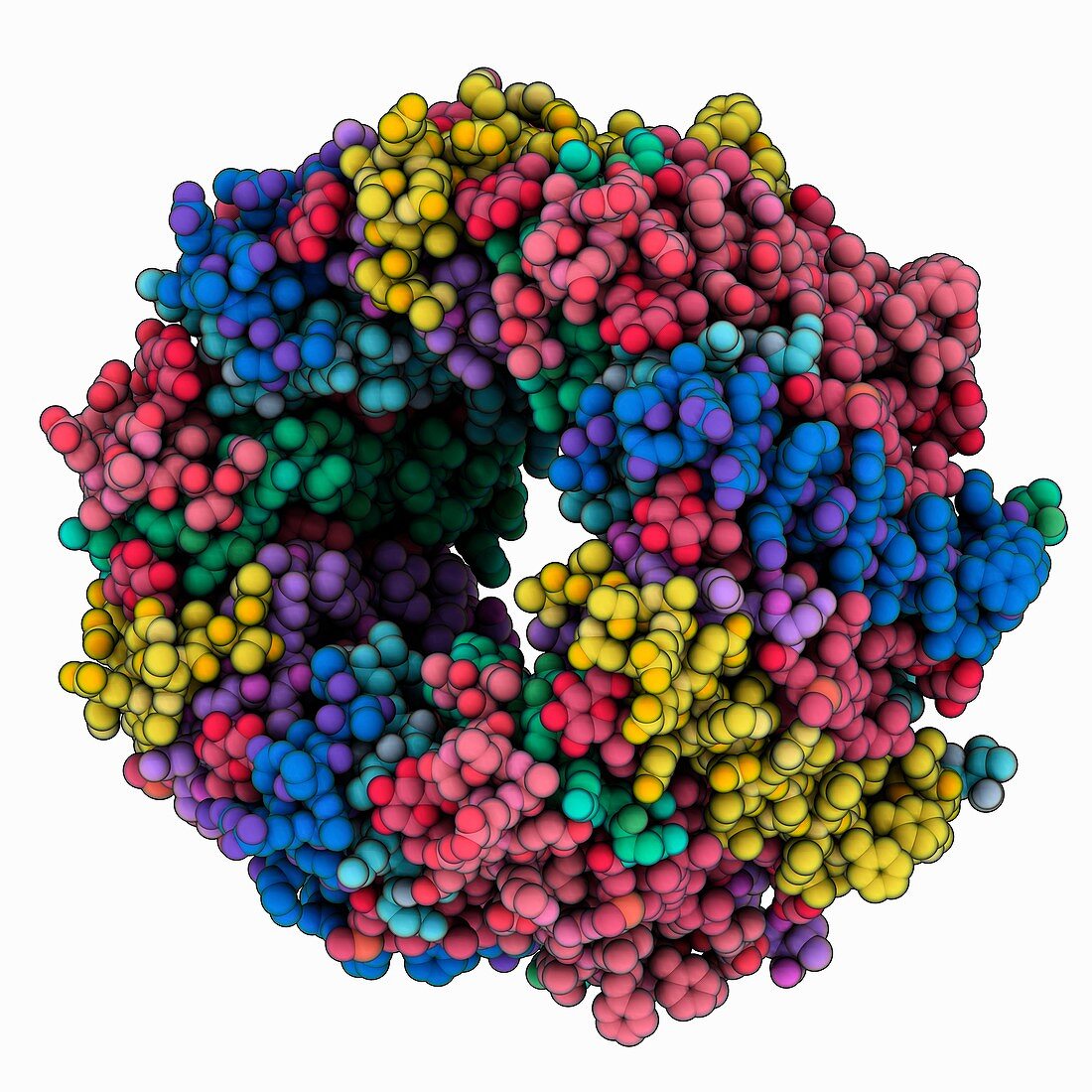 Bacterial light harvesting protein