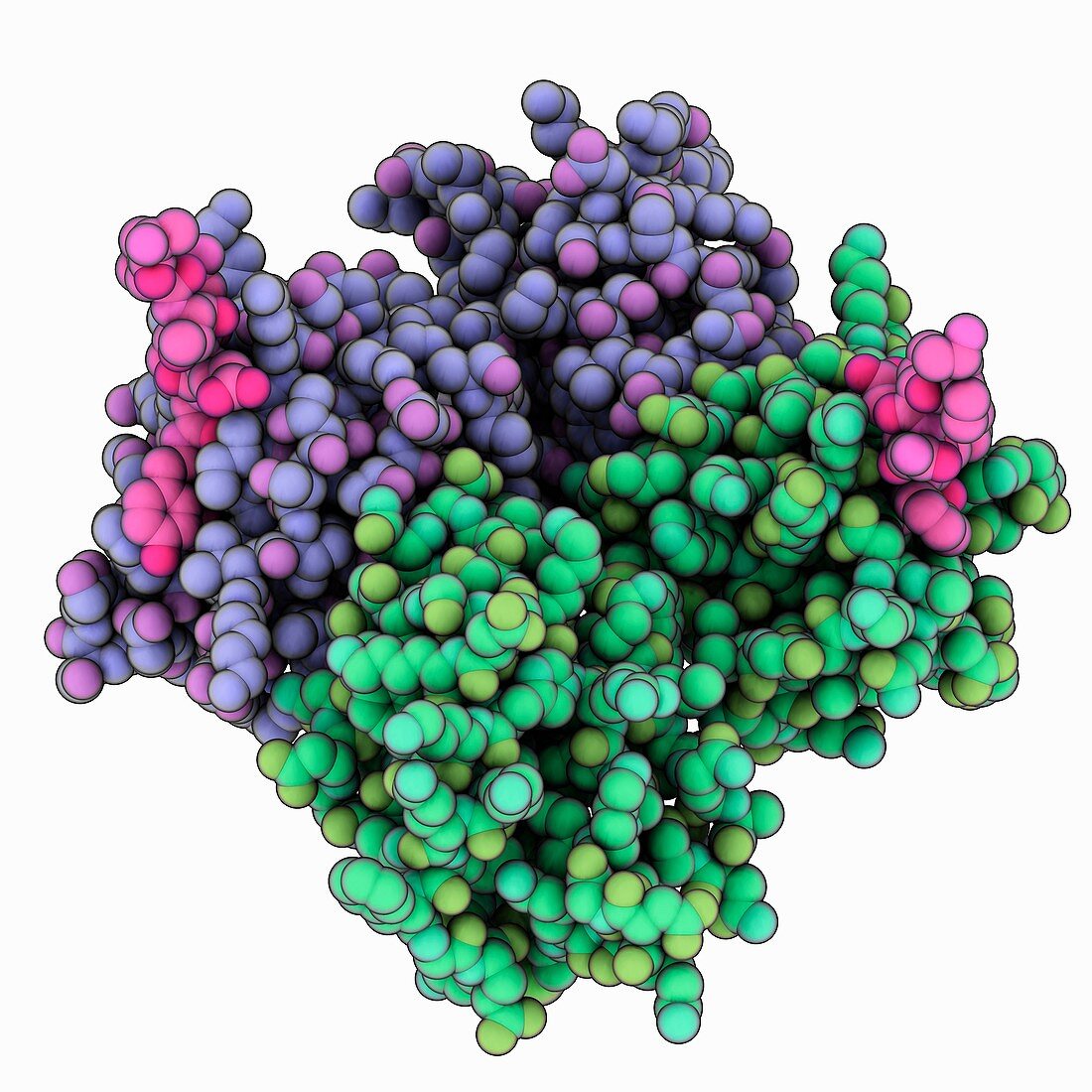 Syntenin-1 PDZ-domain complex
