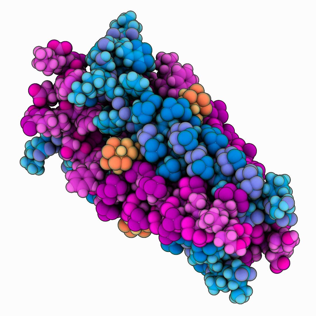 Influenza A proton channel complex