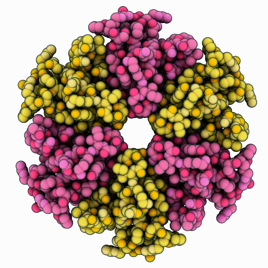 Riboregulator Hfq molecule