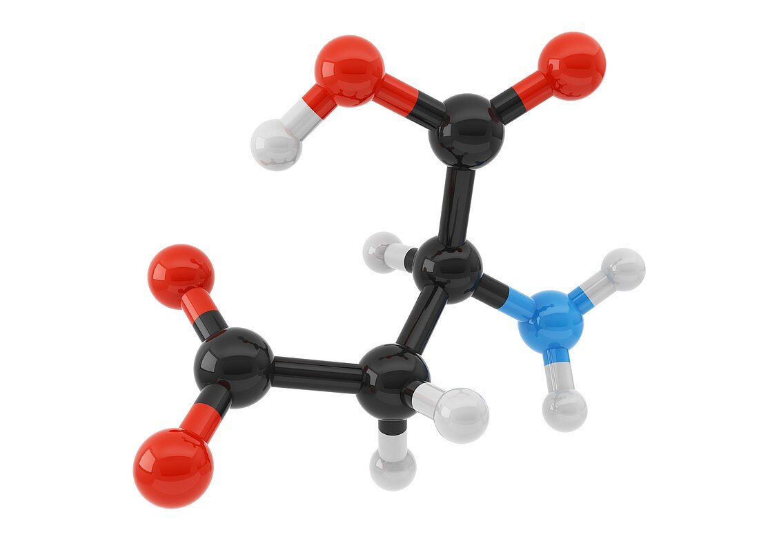 Aspartic acid amino acid molecule