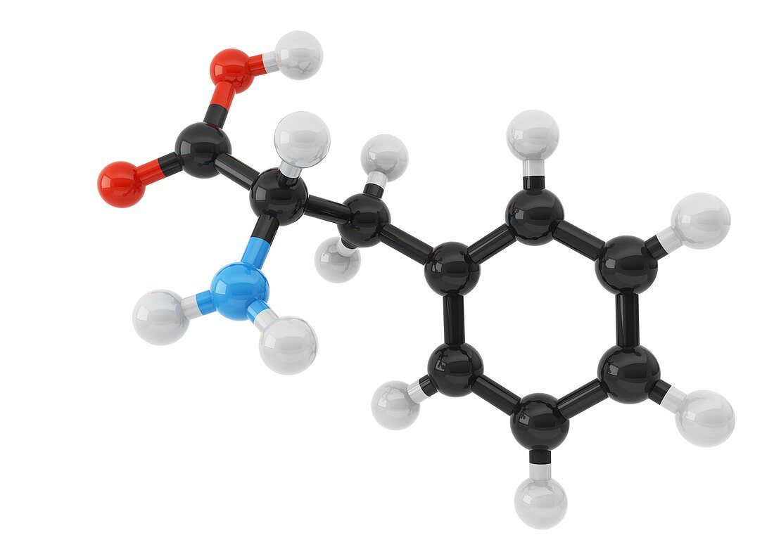 Phenylalanine amino acid molecule