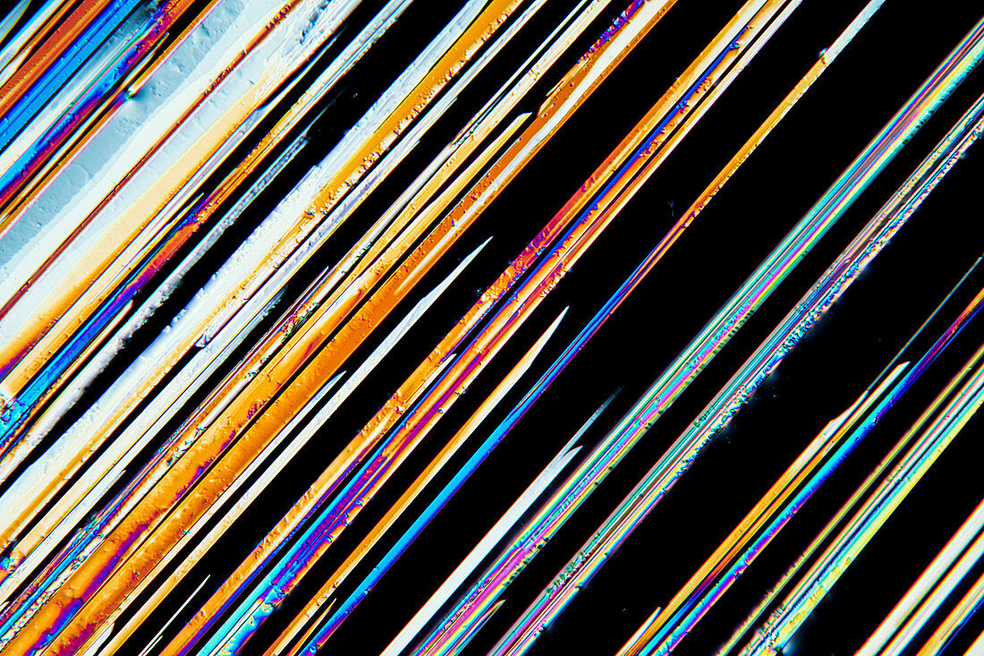 Urea, polarised light micrograph