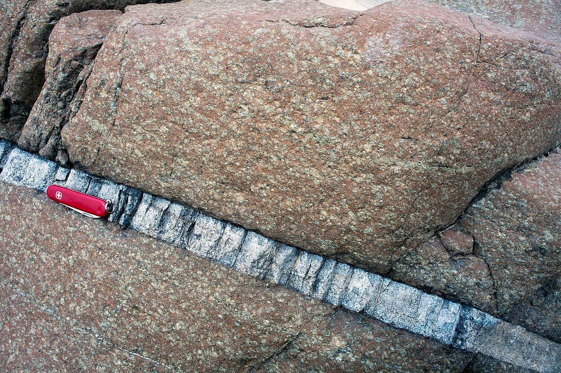 Quartz vein in igneous rock