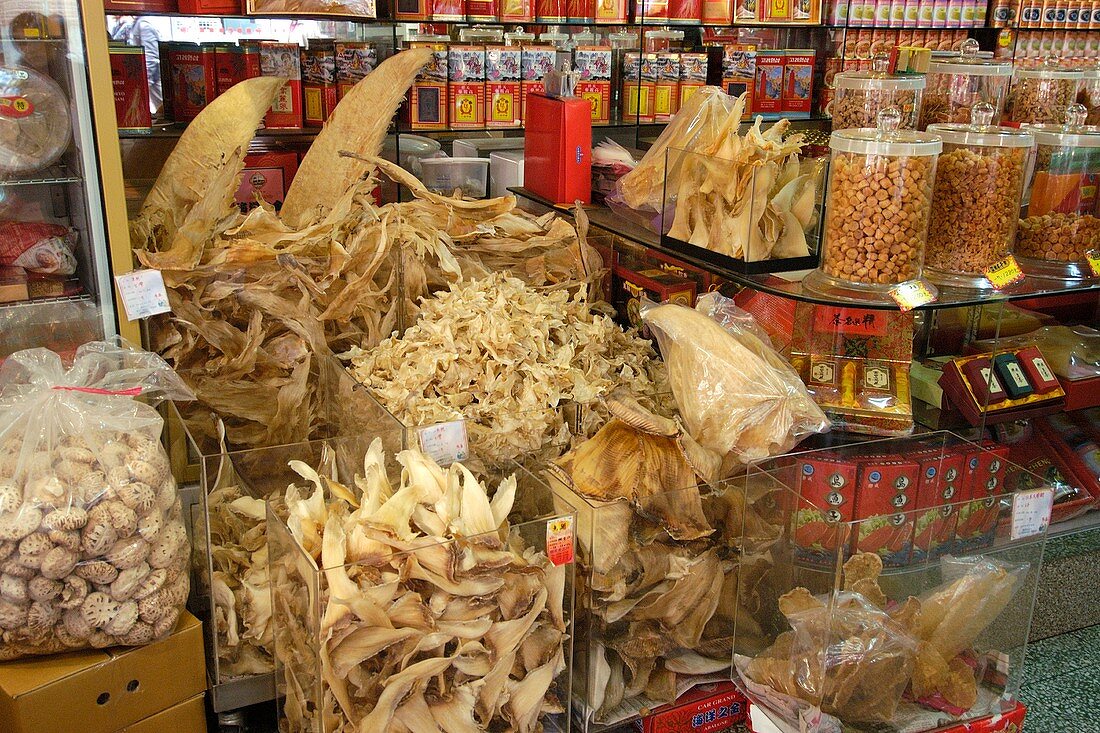 Dried shark fins for sale