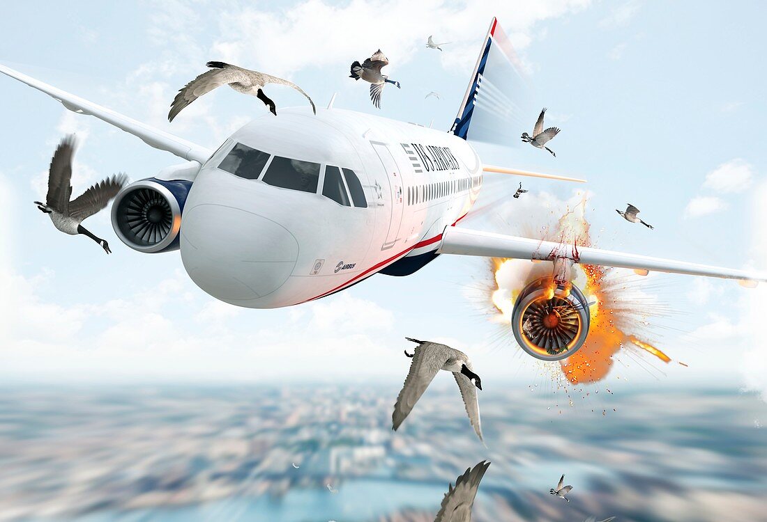 US Airways Flight 1549 incident, illustration