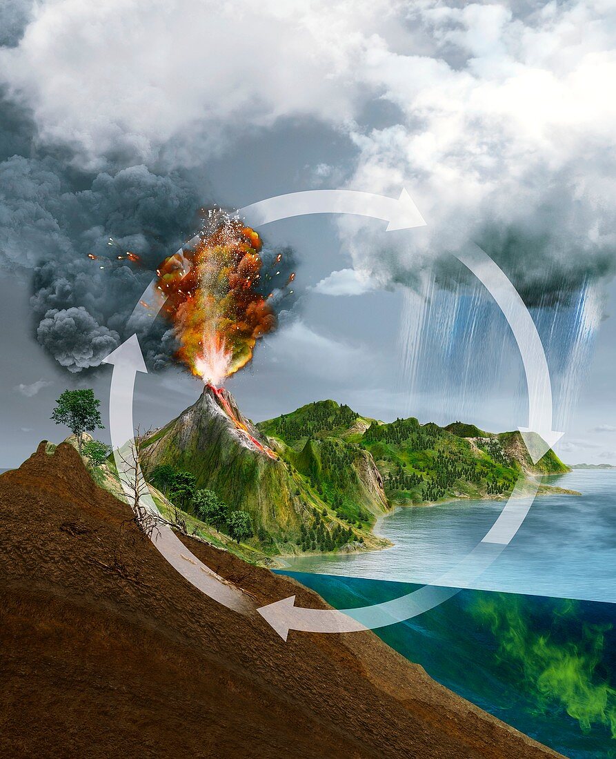 Natural carbon cycle, illustration