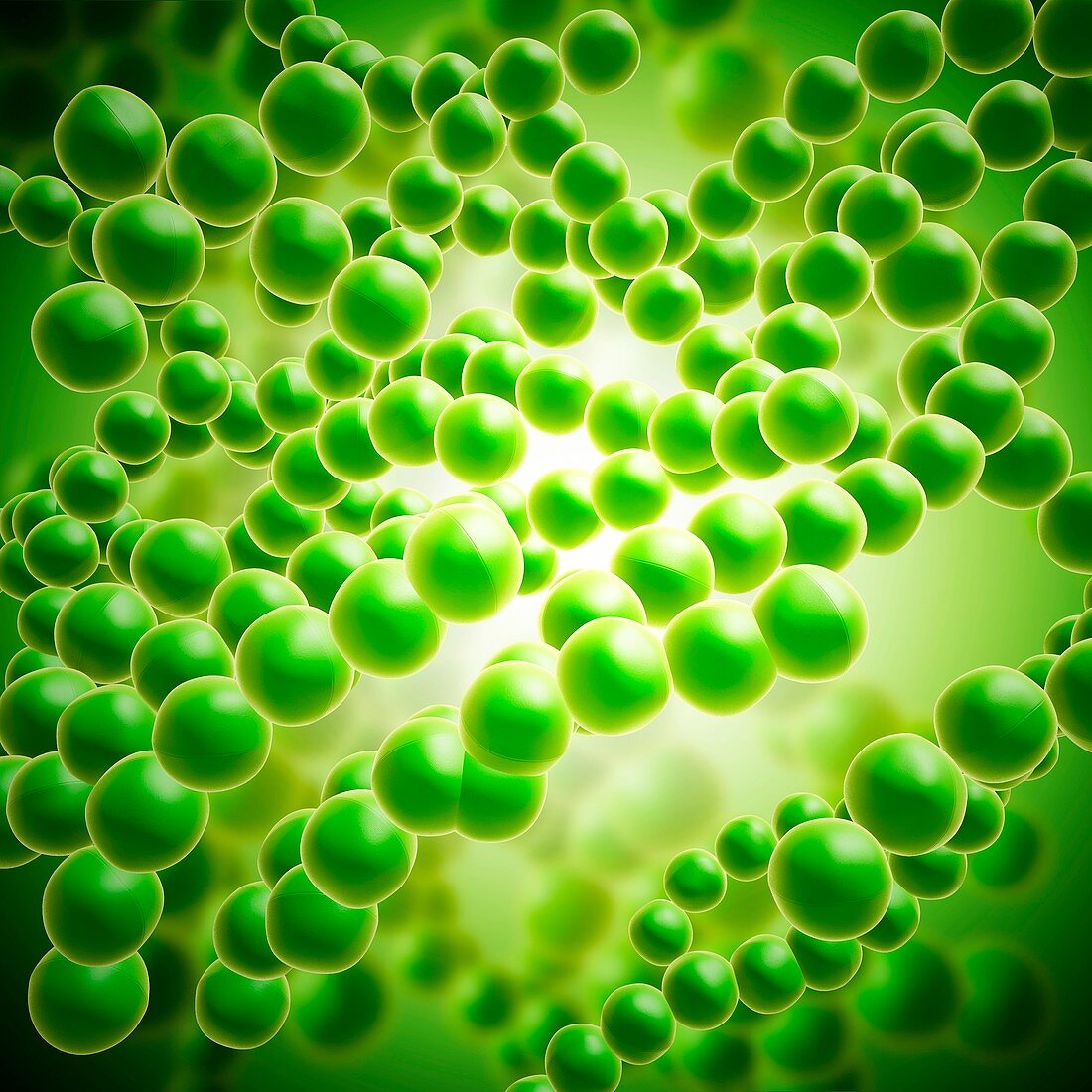 Drug-resistant streptococcus, illustration
