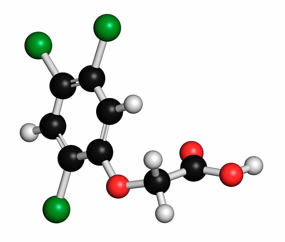 trichlorophenoxyacetic acid molecule