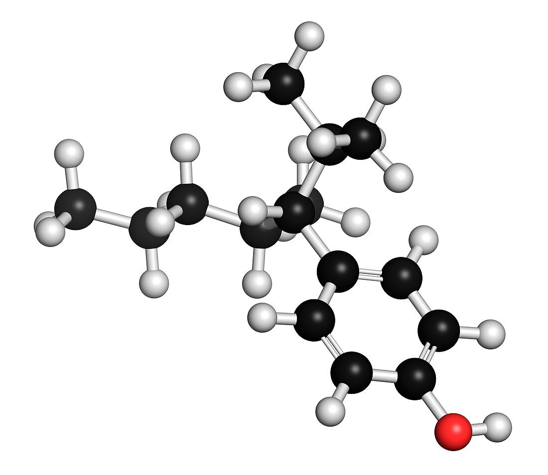 Nonylphenol endocrine disruptor molecule