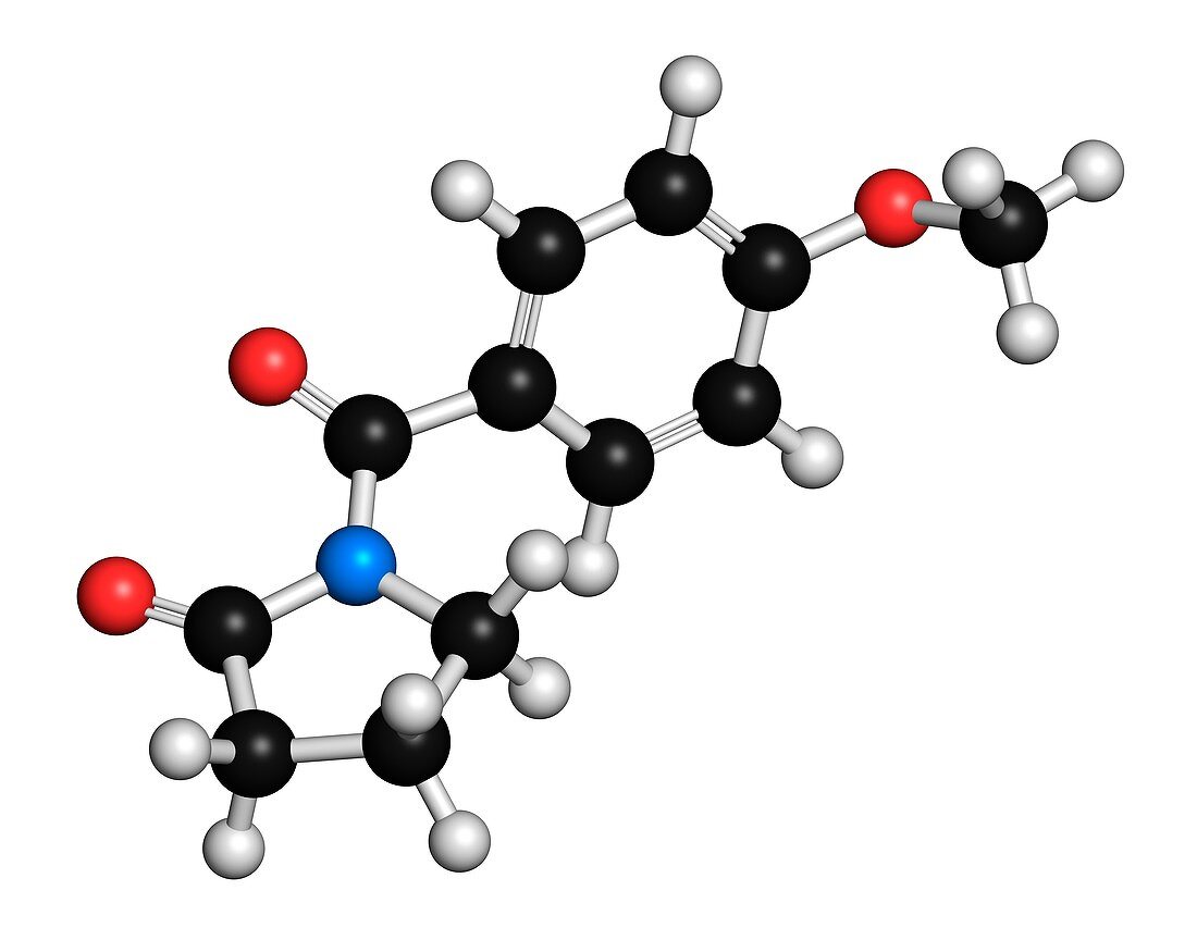 Aniracetam nootropic drug molecule