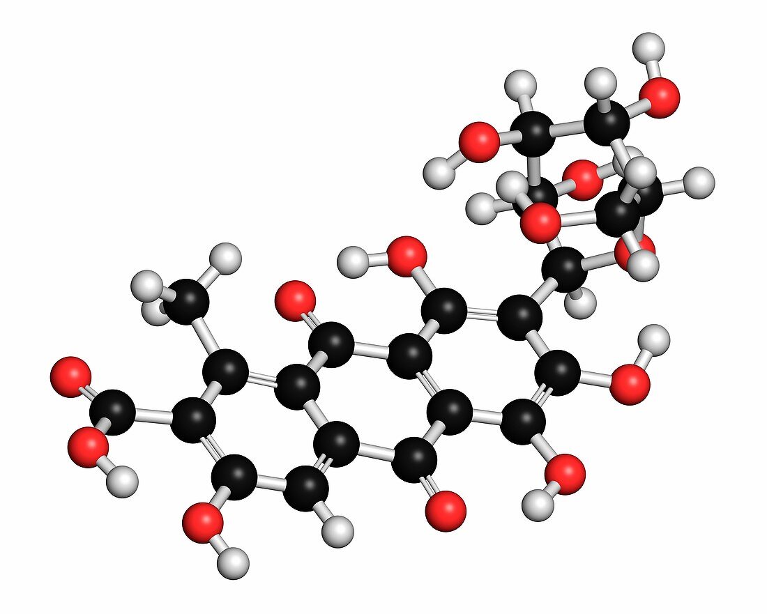 Carminic acid pigment molecule
