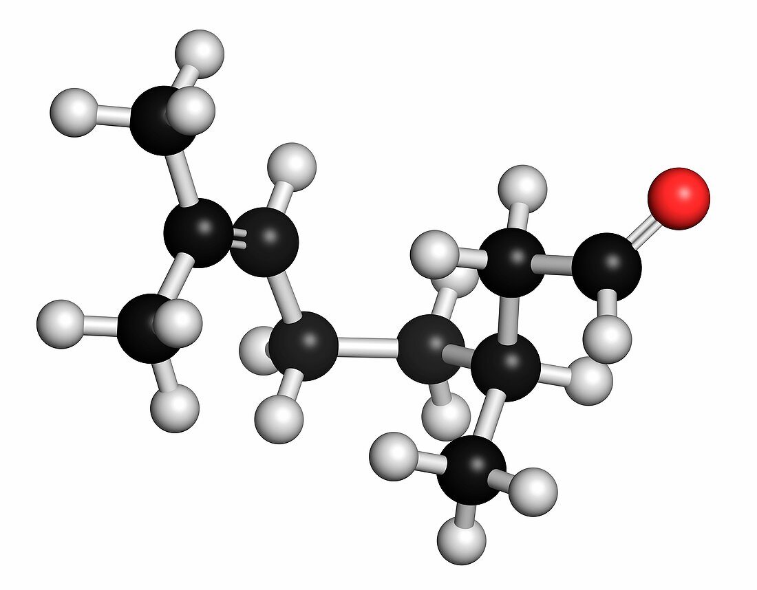 Citronellal citronella oil molecule