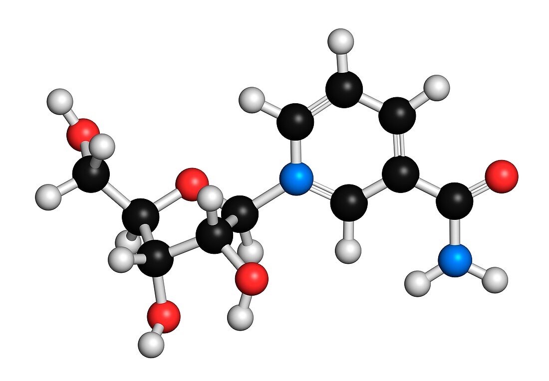 Nicotinamide riboside molecule