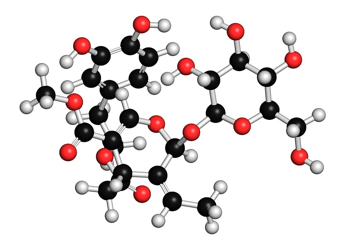 Oleuropein olive component molecule