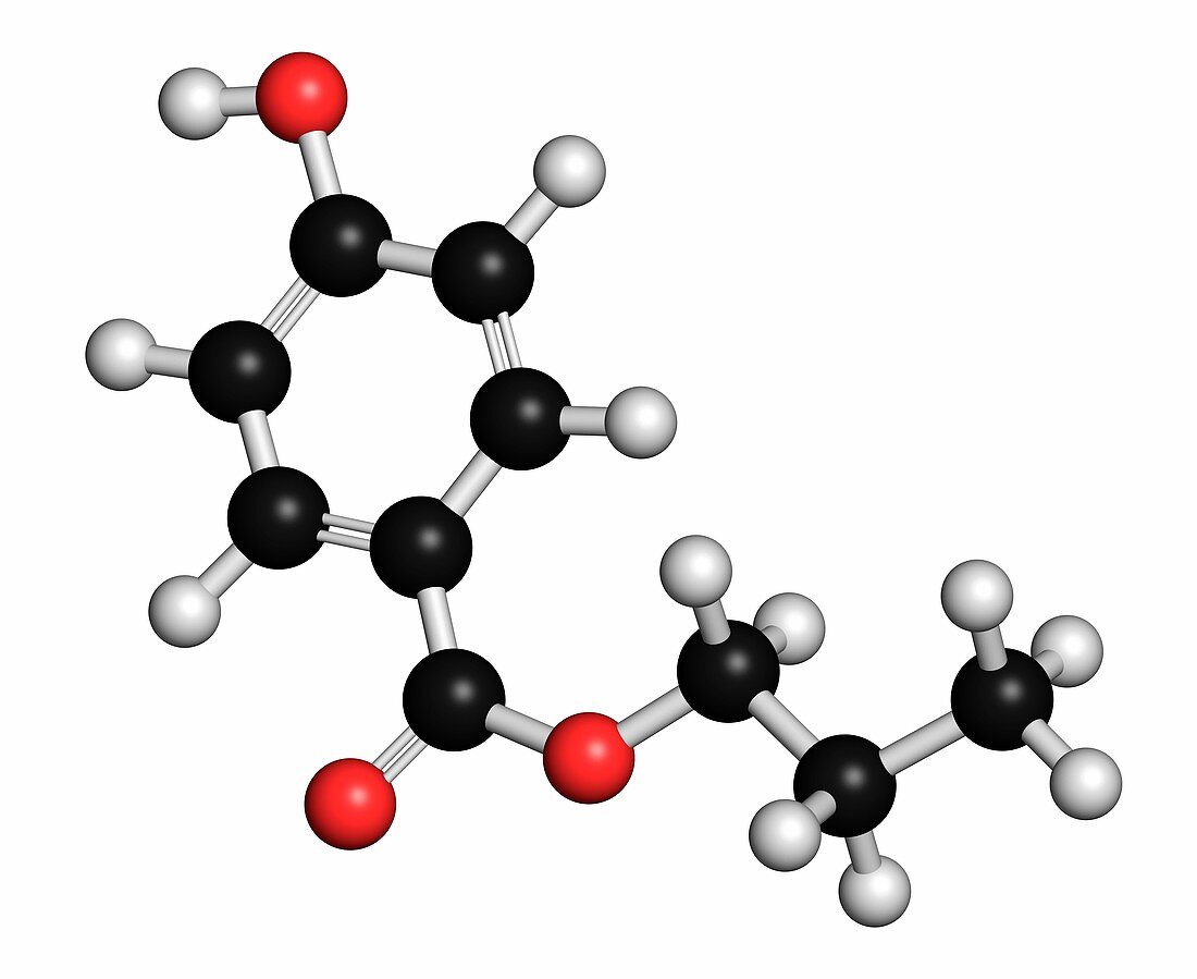 Propylparaben preservative molecule