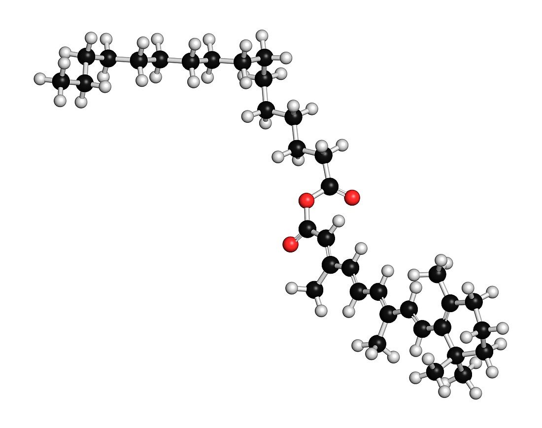 Retinyl palmitate vitamin supplement molecule