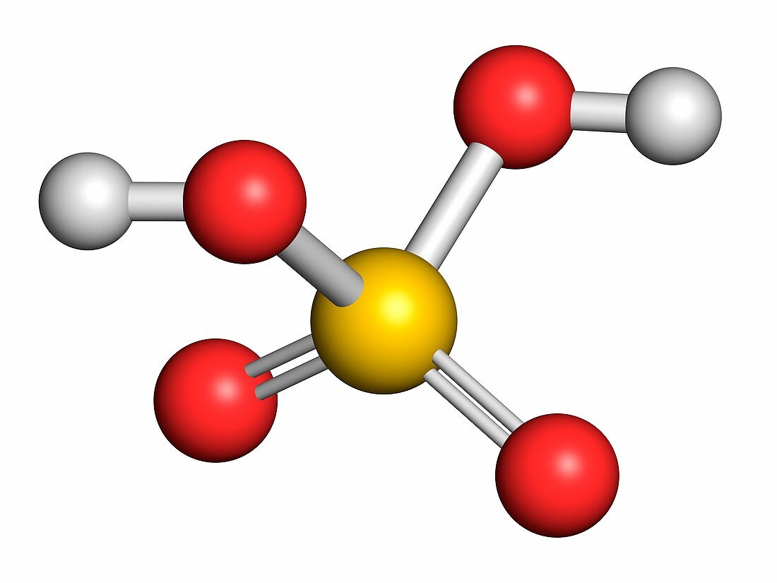 Sulfuric acid molecule