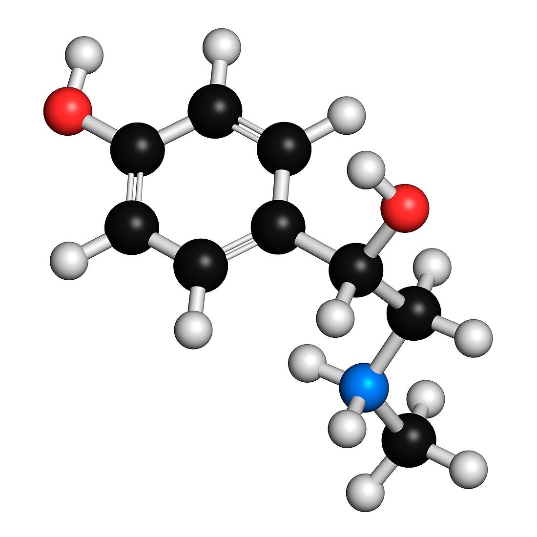 Synephrine herbal stimulant molecule