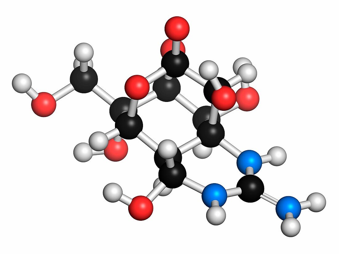 Tetrodotoxin pufferfish neurotoxin molecule